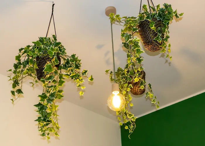 Amare-jacuzzi Panorama Private Parking * Montauro